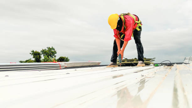 Sheet Metal Roofing in Cascade Valley, WA